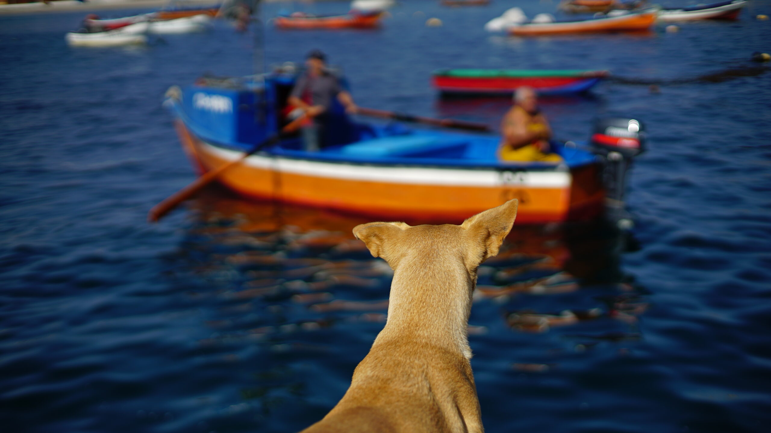 Tu proyecto es nuestro propósito